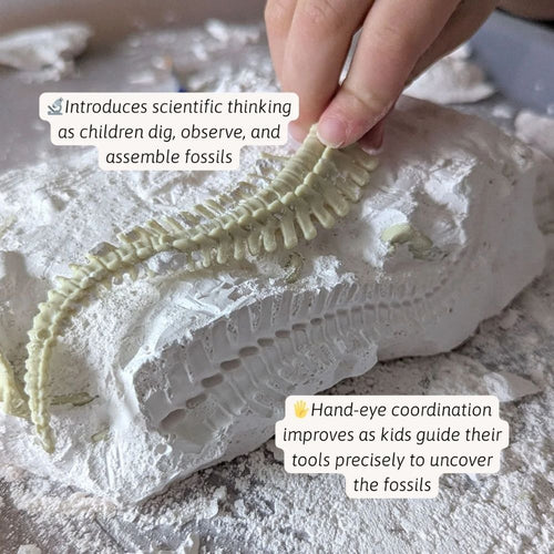 Children playing with a dinosaur skeleton model and white powdery substance, representing fossils. 