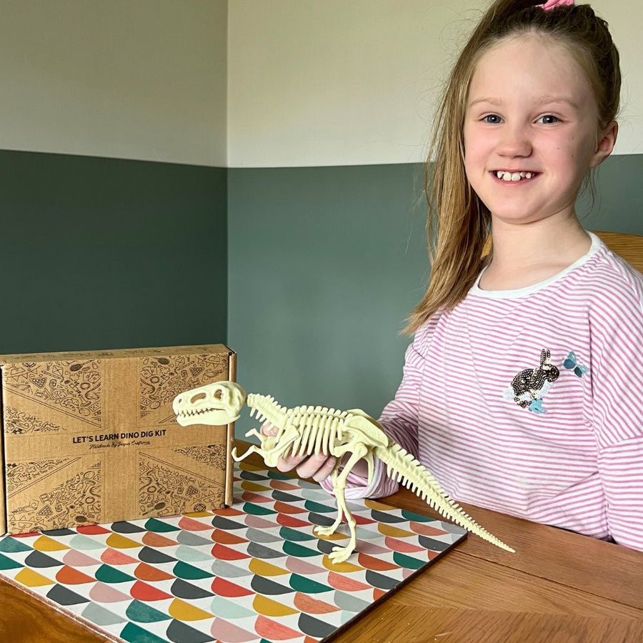 Kids Dinosaur & Gem Dig Kit 6
