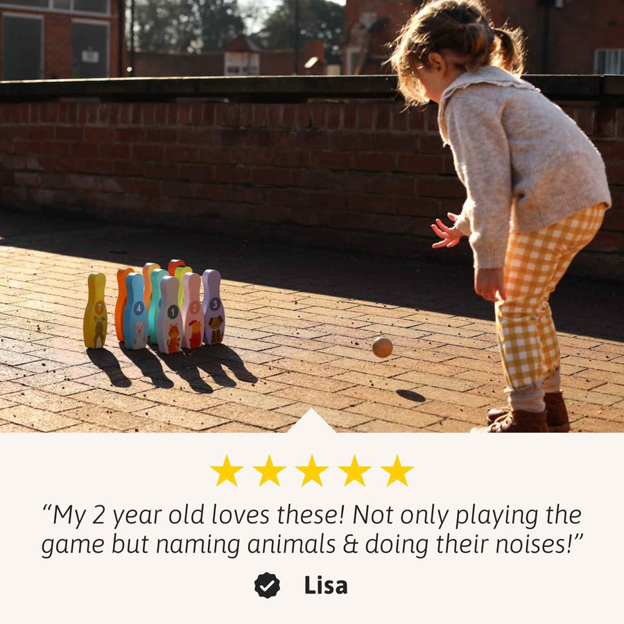 Wooden Animal Skittles 4