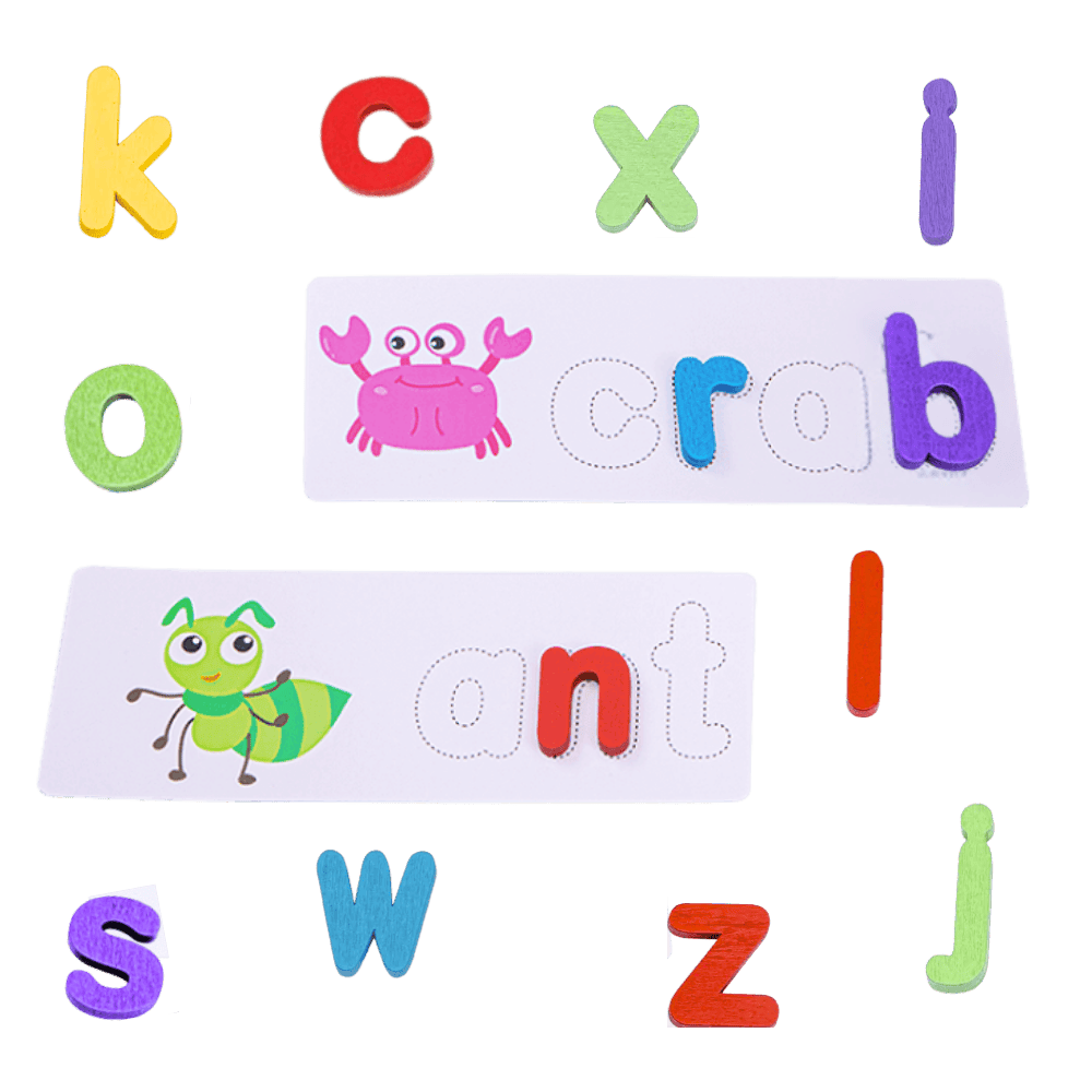 Colourful alphabet letters and word cards on a green background 