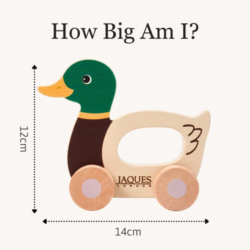 Wooden duck toy with measurements and Jaques of London branding on a white background 