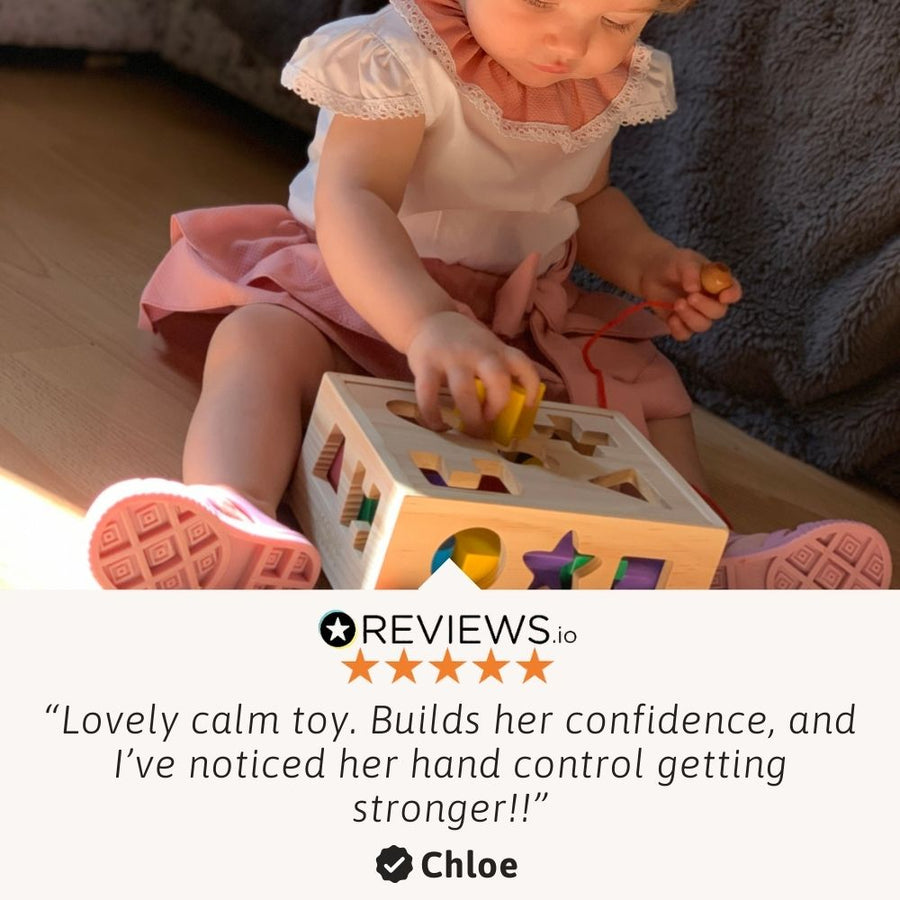 Shape Sorter - Shape Sorting Toy 5