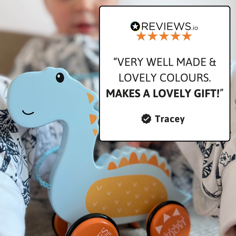 Dylan The Dinosaur Pull Along Toy 7