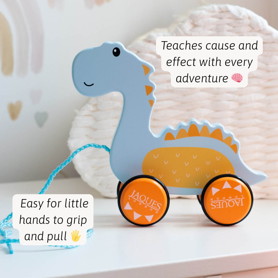 Dylan The Dinosaur Pull Along Toy 3