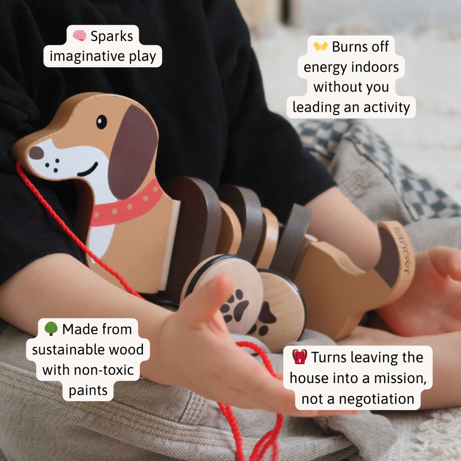 Dolly The Dachshund Pull Along Toy 3