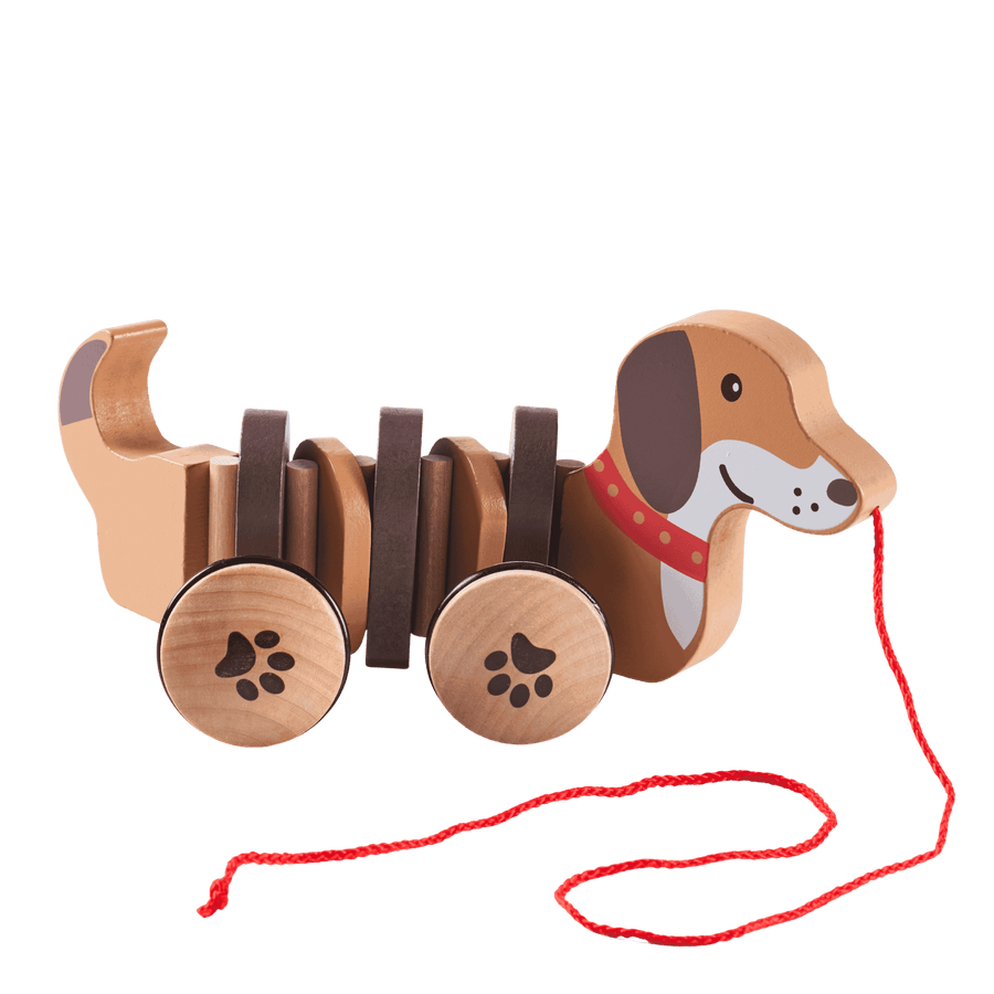 Dolly The Dachshund Pull Along Toy 1