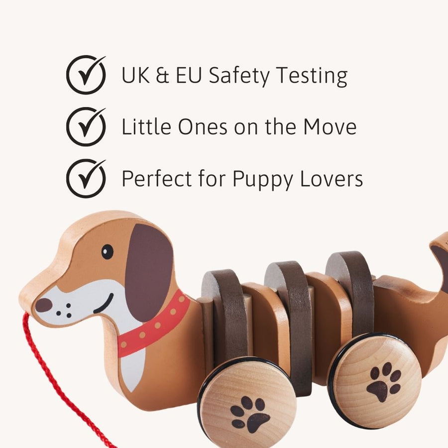 Dolly The Dachshund Pull Along Toy 2