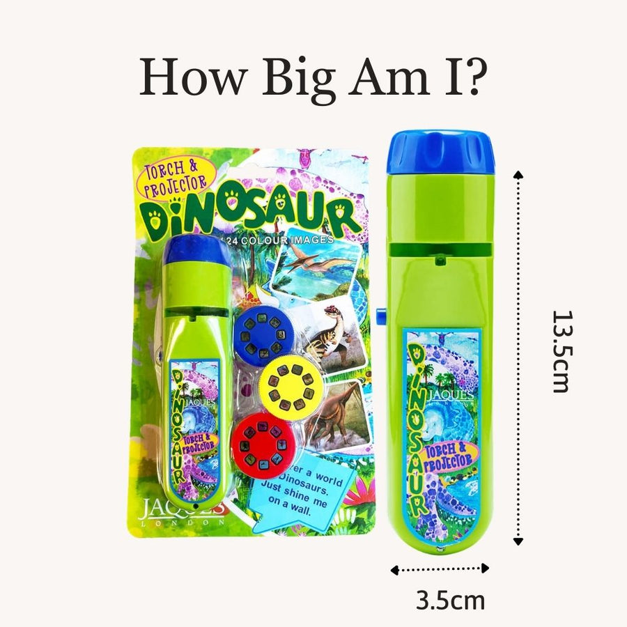 Dinosaur Torch & Projector - Torch Toy 6