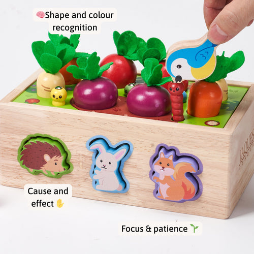 Wooden garden shape sorter toy supporting shape and colour recognition with magnetic bird and worms 