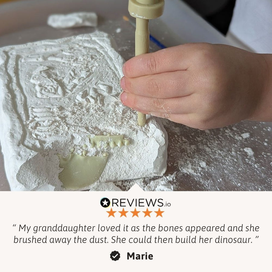 Dinosaur Digging Toy - Excavation Kit For Kids 4