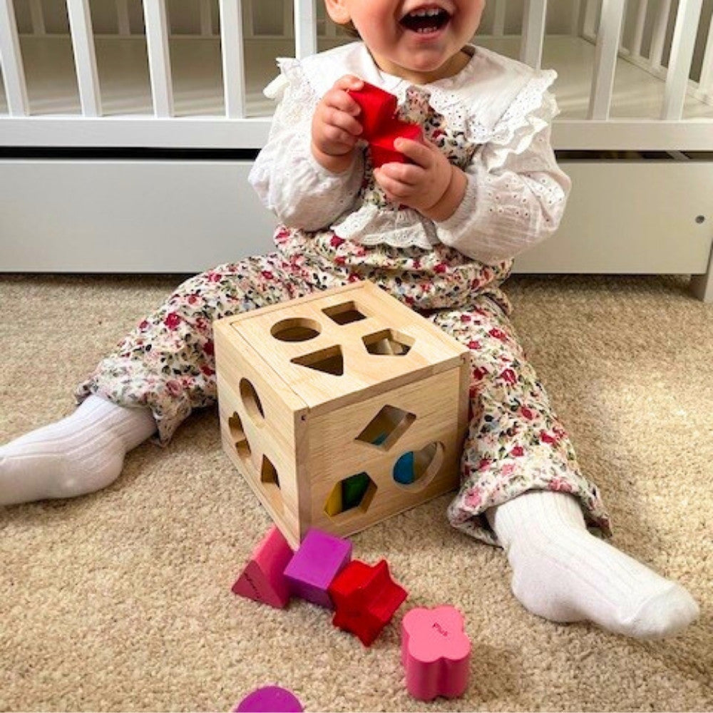 Montessori Toys